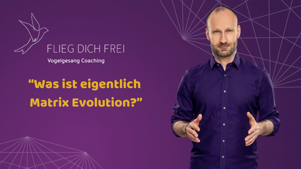 Was ist eigentlich Matrix Evolution?