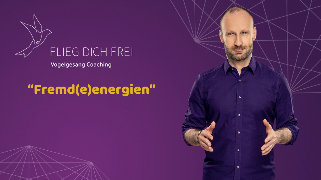 Fremd(e)energien