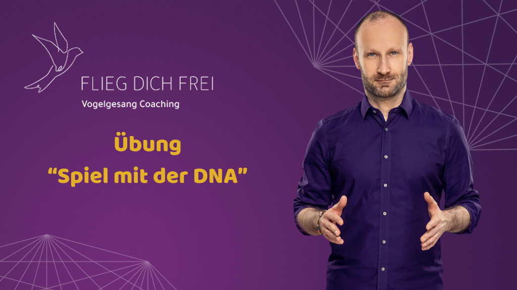 Übung Spiel mit der DNA