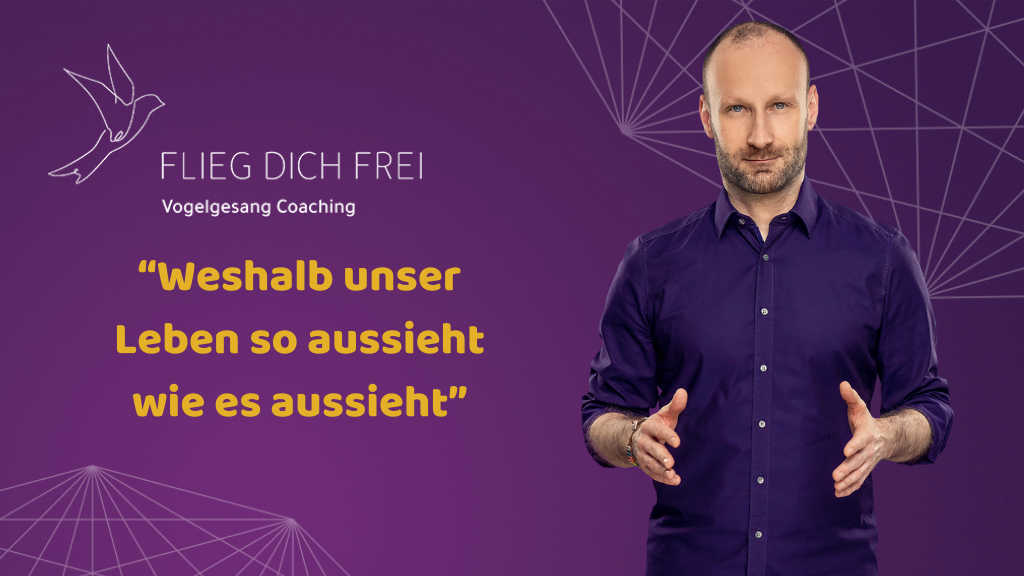 Weshalb unser Leben so aussieht wie es aussieht