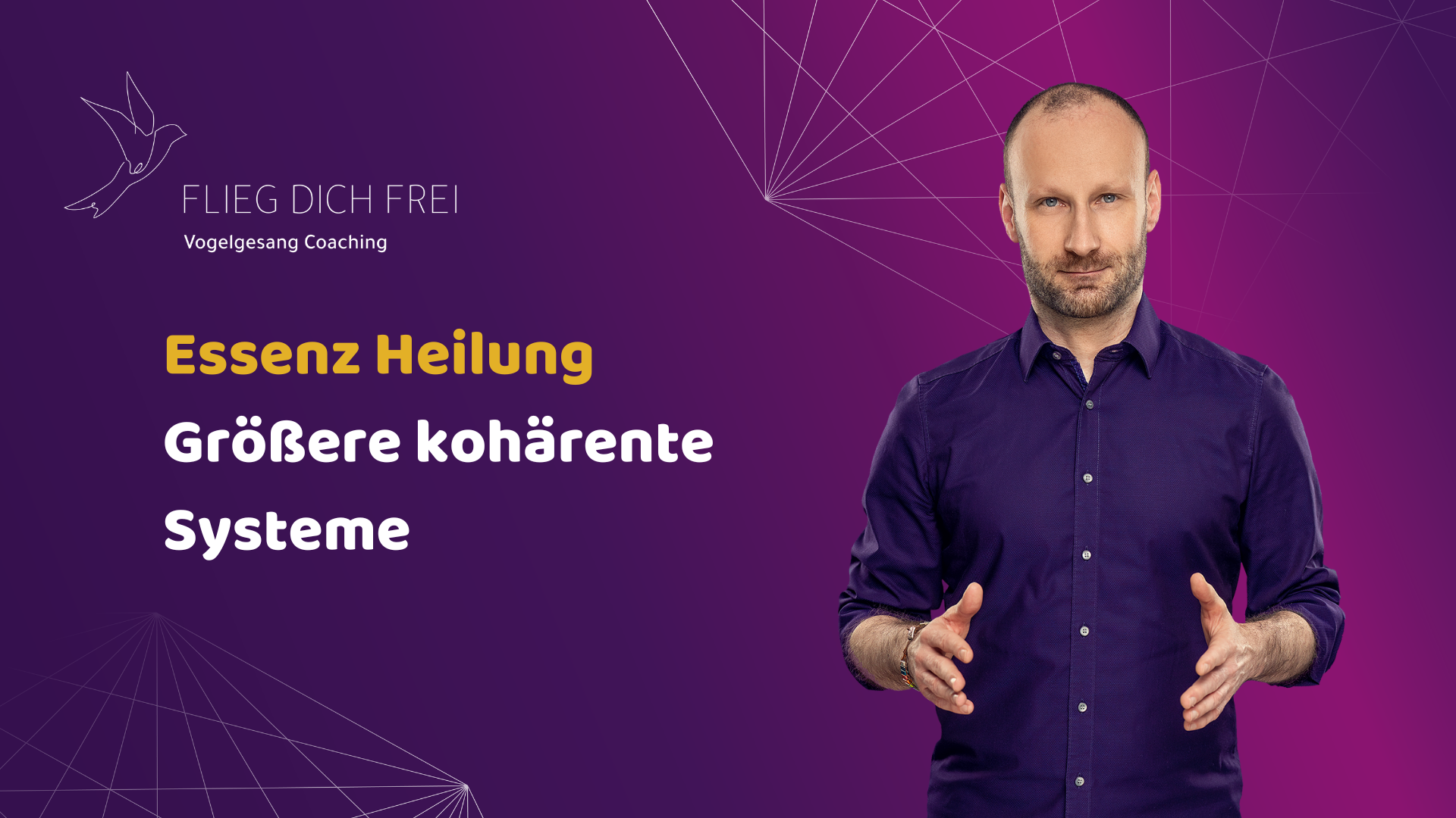 Essenz Heilung: Größere Kohärente Systeme